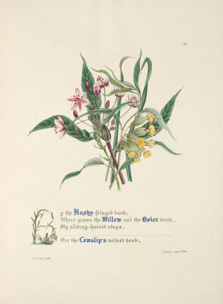 Jane Elizabeth Giraud - Up the Rushyfringed bank.webp