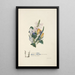 Violette crocus et jacinthe - Jane Elizabeth Giraud — framed artwork on a wall
