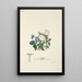 Violets and Roses - Jane Elizabeth Giraud — framed artwork on a wall
