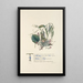 Wild thyme, vine, willows, and hazel tree - Jane Elizabeth Giraud — framed artwork on a wall