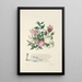 Honeysuckle ivy roses and myrtle - Jane Elizabeth Giraud — framed artwork on a wall