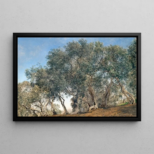 Olive Grove in Tivoli, Italy - Janus la Cour — framed artwork on a wall