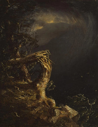 Jasper Francis Cropsey - Blasted Tree.webp