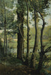 Les Evaux near Château-Thierry road lined with trees - Jean-Baptiste-Camille Corot — artwork view