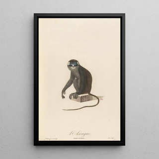 JeanBaptiste Audebert - LAscagne.webp