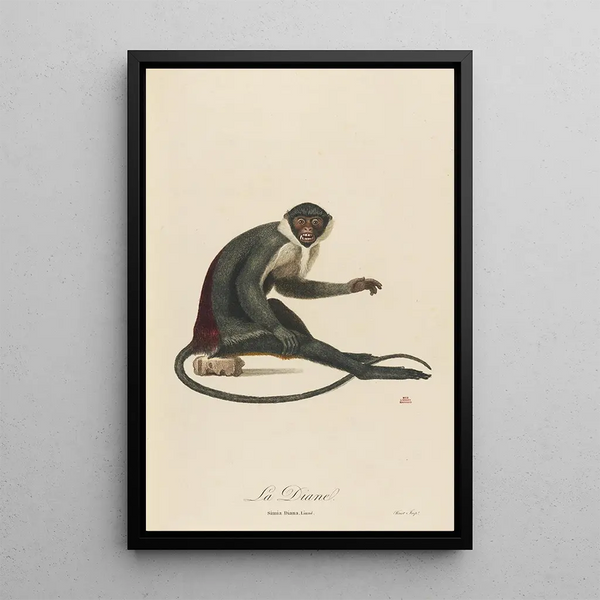 La Diane - Jean-Baptiste Audebert — framed artwork on a wall