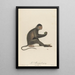 The Mangabey - Jean-Baptiste Audebert — framed artwork on a wall