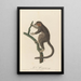 Le Mongous - Jean-Baptiste Audebert — framed artwork on a wall