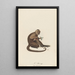 Le Saï - Jean-Baptiste Audebert — framed artwork on a wall