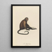 Le Sajou - Jean-Baptiste Audebert — framed artwork on a wall
