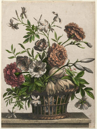 JeanBaptiste Monnoyer - Marigolds single Anemone Jasmine.webp