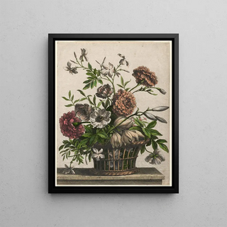 JeanBaptiste Monnoyer - Marigolds single Anemone Jasmine.webp