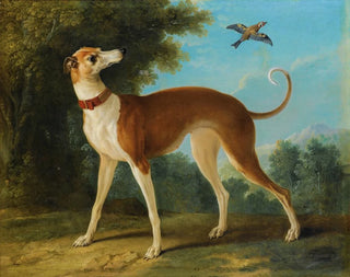 Greyhound in a Landscape - Jean-Baptiste Oudry — artwork view