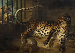 Leopard in a cage confronts two mastiffs - Jean-Baptiste Oudry — artwork view