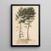 Trees - Jean-Baptiste Pillement — framed artwork on a wall