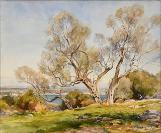 Les oliviers à Cap d'Antibes - Jean-Henri Zuber — artwork view