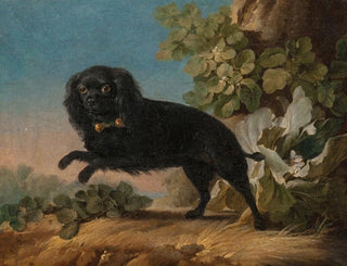 Mimi, Madame de Pompadour's favorite dog - Jean-Jacques Bachelier — artwork view