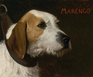 Marengo - Jean-Léon Gérôme — artwork view