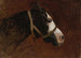 Profile of a Horse - Jean-Léon Gérôme — artwork view