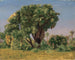 Study of Palms - Jean-Léon Gérôme — artwork view