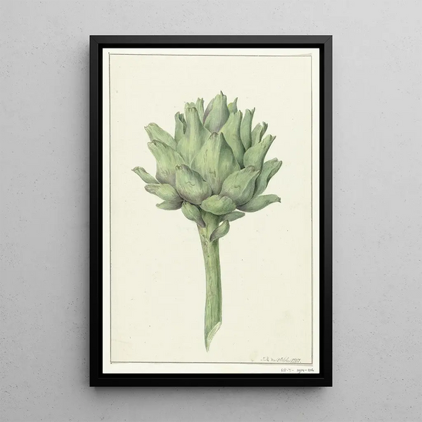 Artichoke - Jean Bernard — framed artwork on a wall