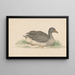 Duck to the right - Jean Bernard — framed artwork on a wall