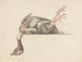 Bird with Feather Upside Down - Jean Bernard — artwork view