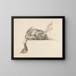 Bird with Feather Upside Down - Jean Bernard — framed artwork on a wall