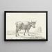 Cow walking to the right - Jean Bernard — framed artwork on a wall