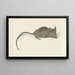 Mouse to the right - Jean Bernard — framed artwork on a wall
