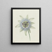 Flower of Passion - Jean Bernard — framed artwork on a wall