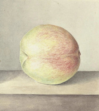 Jean Bernard - Perzik.webp