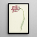 Tulip pink - Jean Bernard — framed artwork on a wall
