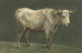 Bull standing to the right - Jean Bernard — artwork view