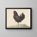 Black Hen Standing - Jean Bernard — framed artwork on a wall