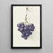 Three clusters of blue grapes - Jean Bernard — framed artwork on a wall