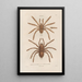 Insects collected in Africa and America Pl01 - Jean Gabriel Prêtre — framed artwork on a wall