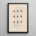 Insectes recueillis en Afrique et en Amérique Pl12 - Jean Gabriel Prêtre — framed artwork on a wall
