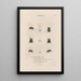 Insects collected in Africa and America Pl14 - Jean Gabriel Prêtre — framed artwork on a wall
