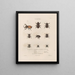 Insects collected in Africa and America Pl18 - Jean Gabriel Prêtre — framed artwork on a wall
