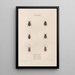 Insects collected in Africa and America Pl25 - Jean Gabriel Prêtre — framed artwork on a wall