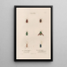 Insects collected in Africa and America Pl26 - Jean Gabriel Prêtre — framed artwork on a wall