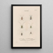 Insects collected in Africa and America Pl35 - Jean Gabriel Prêtre — framed artwork on a wall
