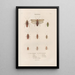 Insects collected in Africa and America Pl37 - Jean Gabriel Prêtre — framed artwork on a wall
