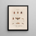 Insects collected in Africa and America Pl38 - Jean Gabriel Prêtre — framed artwork on a wall