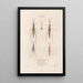 Insects collected in Africa and America Pl43 - Jean Gabriel Prêtre — framed artwork on a wall