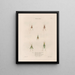 Insects collected in Africa and America Pl44 - Jean Gabriel Prêtre — framed artwork on a wall