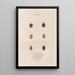 Insectes recueillis en Afrique et en Amérique Pl47 - Jean Gabriel Prêtre — framed artwork on a wall