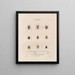 Insects collected in Africa and America Pl48 - Jean Gabriel Prêtre — framed artwork on a wall