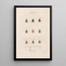 Insects collected in Africa and America Pl53 - Jean Gabriel Prêtre — framed artwork on a wall